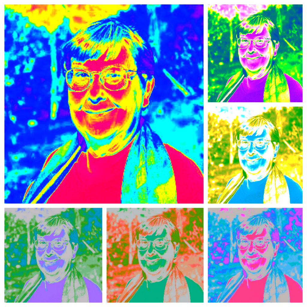 Marilee Karl thermal collage