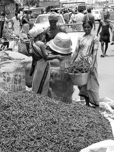 chilli_vendor_india